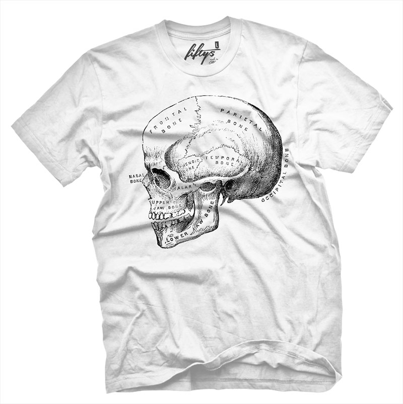 Fifty5 Clothing - Skull Anatomy Men's T Shirt - White